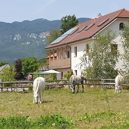 Lipizzaner Lodge Guest House Postojna Buitenkant foto