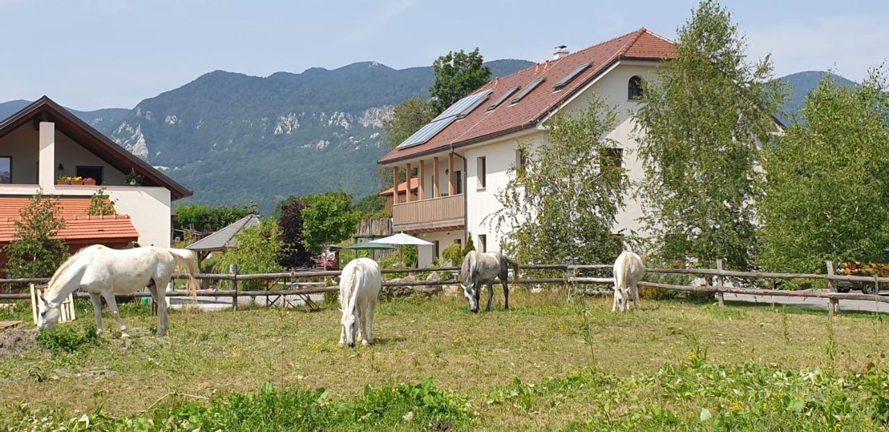 Lipizzaner Lodge Guest House Postojna Buitenkant foto